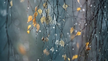 Фотография к новости: Какая погода ожидает казахстанцев в выходные