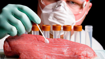 Фотография к новости: Опасные вещества обнаружило МСХ РК в завезённых продуктах из России и Беларуси