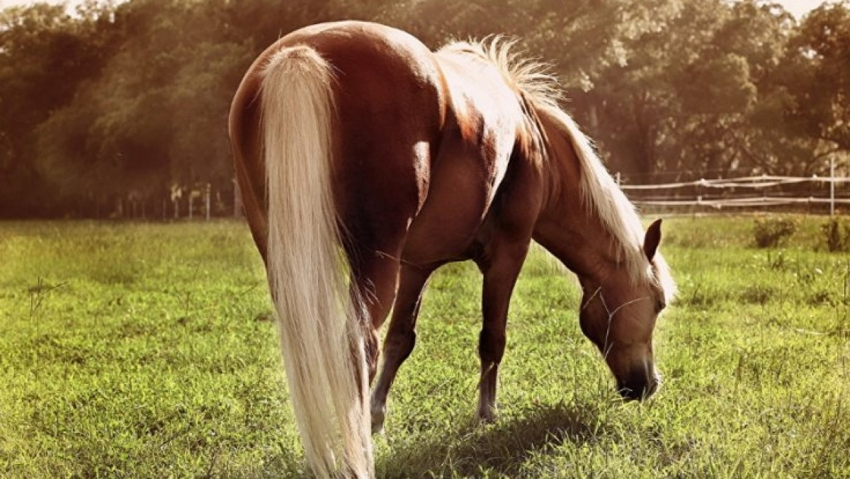  открытые источники