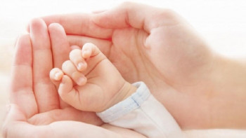 Фотография к новости: О социальной помощи многодетным семьям рассказала Абылкасымова