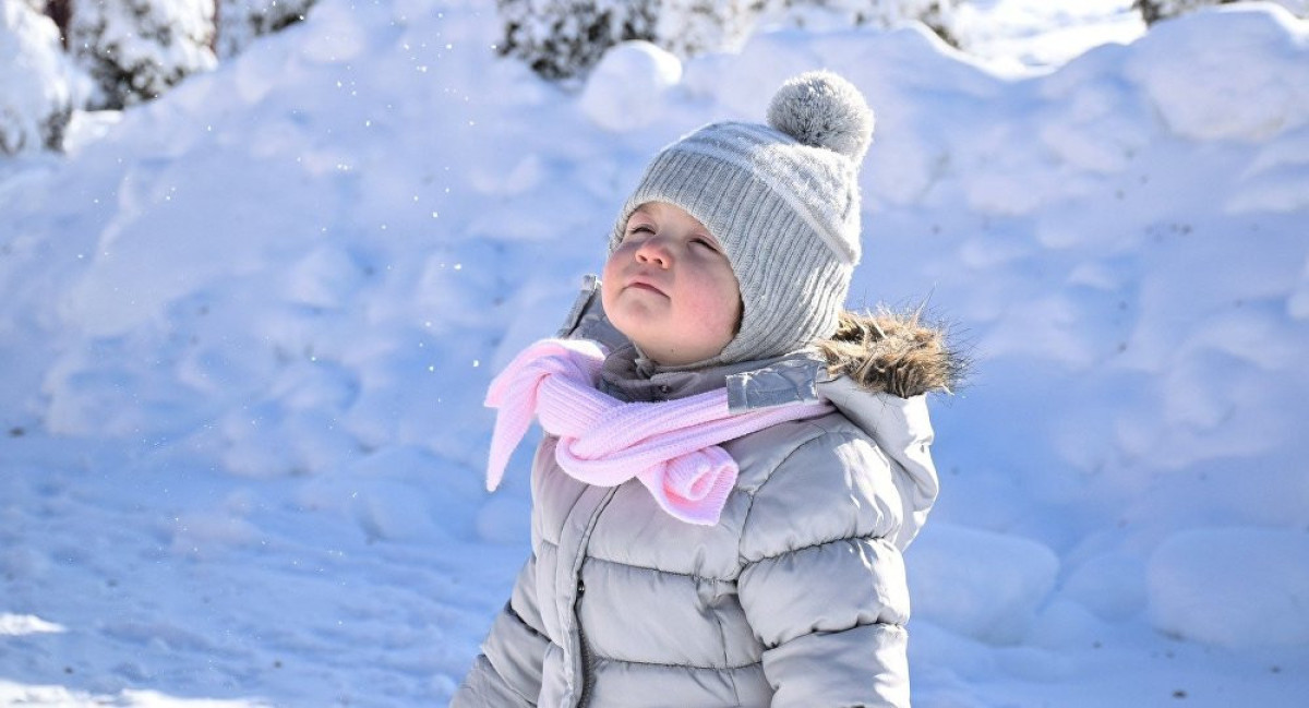  Из открытых источников 