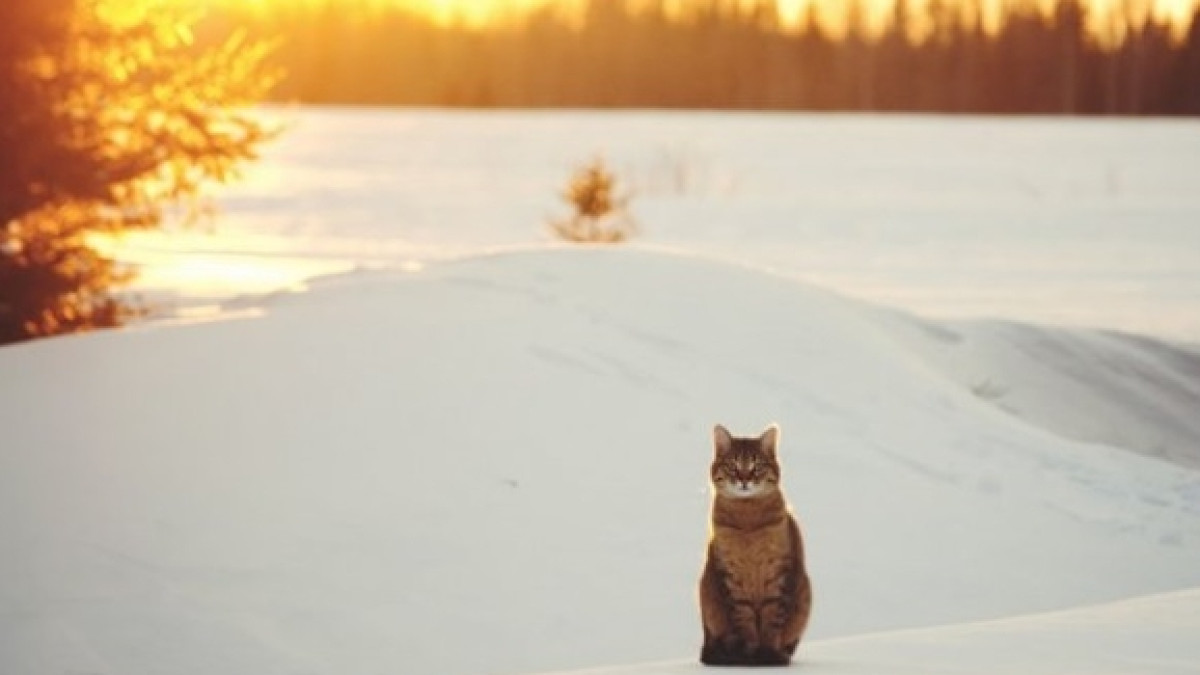  Деловой Казахстан