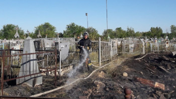 Фотография к новости: Кладбище сгорело в Семее 