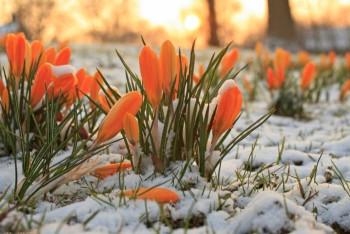 Фотография к новости: Синоптики рассказали о погоде в Казахстане 19 марта