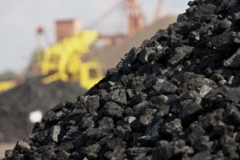 Фотография к новости: На девять миллионов тенге оштрафовали торговцев углем в ЮКО