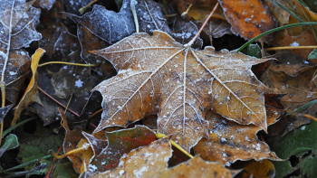 Фотография к новости: Штормовое предупреждение объявлено в Астане и ряде областей Казахстана