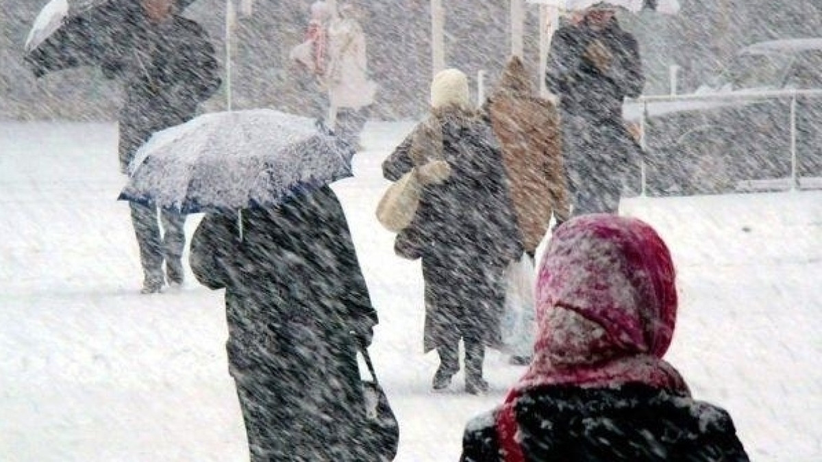  Из открытых источников 