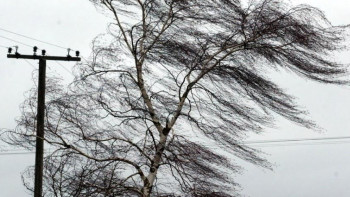 Фотография к новости: Ветер и осадки: штормовое  предупреждение распространили синоптики в ряде регионов