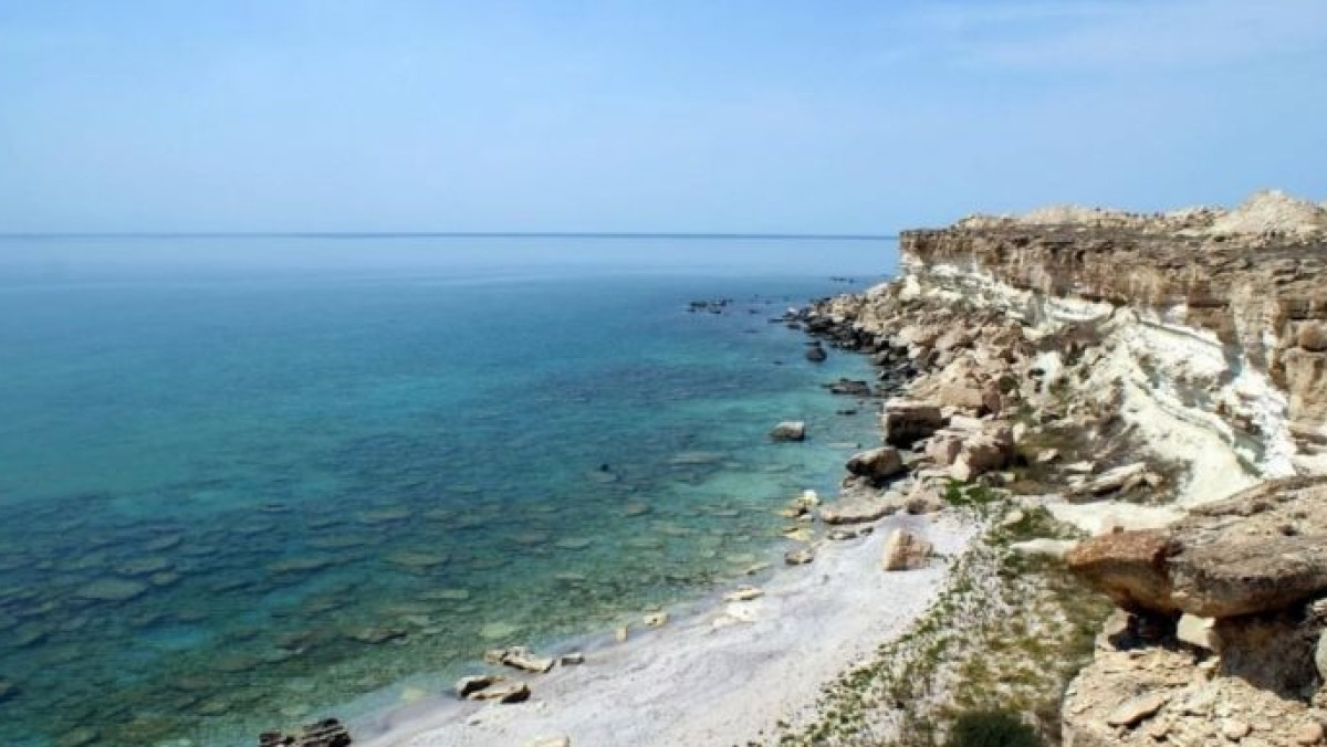  Фото из открытых источников