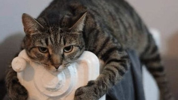 Фотография к новости: Алматы готов к отопительному сезону на 95% 