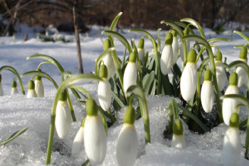 Фотография к новости: Синоптики рассказали о погоде в Казахстане 20 марта