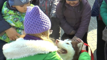 Фотография к новости: В Алматы детский аутизм пробуют лечить с помощью дрессированных собак 