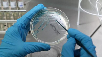 Фотография к новости: К ответственности привлекут чиновника из-за антисанитарии в поезде Уральск – Алматы