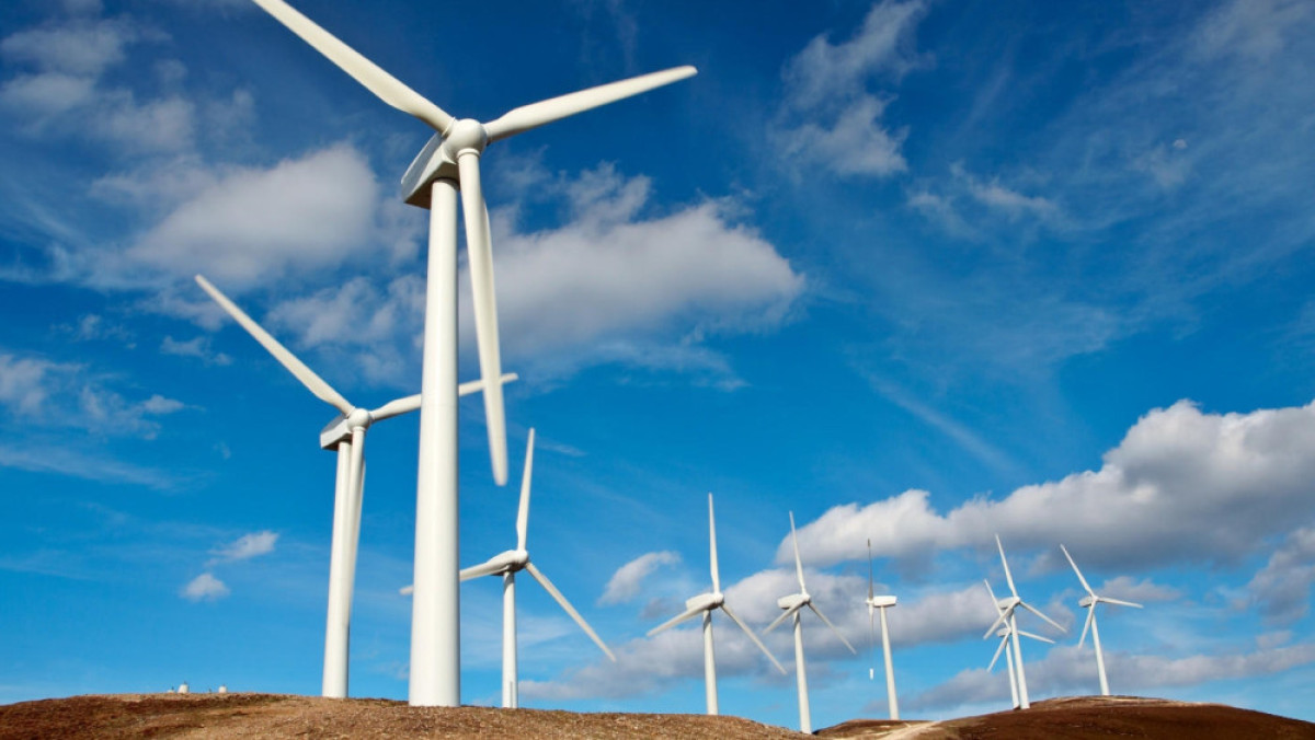  support.sitesumo.com