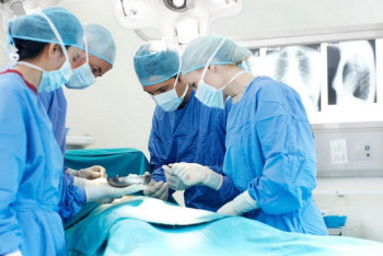 Фотография к новости: ЧП с пальмой в "Хан Шатыре": пострадавшей проведут операцию на позвоночнике