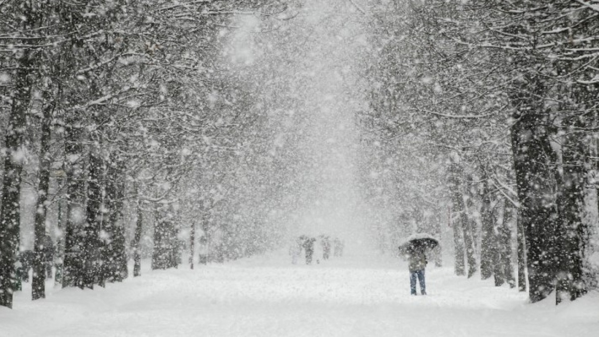  Из открытых источников