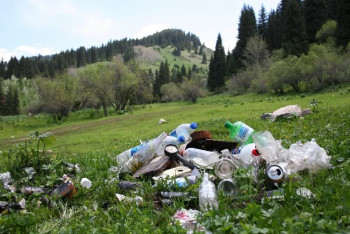 Фотография к новости: С мусором в горах намерены бороться власти Алматы