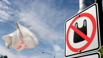 Фотография к новости: Казахстан может отказаться от полиэтиленовых пакетов в течение 10 лет