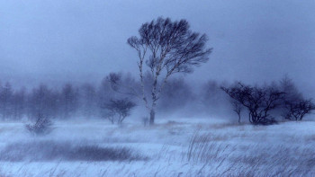 Фотография к новости: В двух областях Казахстана объявлено штормовое предупреждение