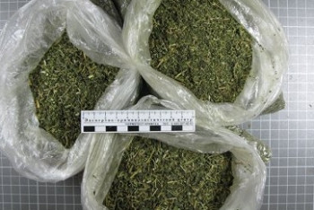 Фотография к новости: Проводницу задержали с пятью килограммами марихуаны в Шымкенте