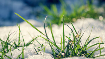 Фотография к новости: О погоде в Казахстане на 8 марта рассказали синоптики 