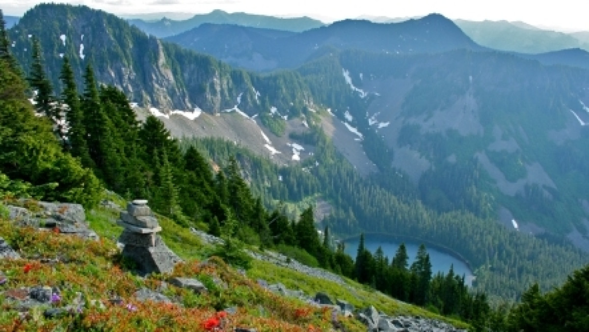  Из открытых источников 