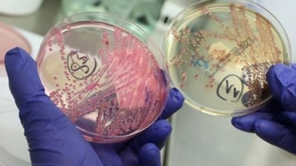  Из открытых источников 