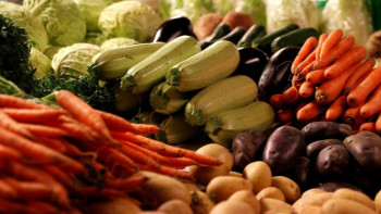 Фотография к новости: Eщё десяток казахстанских предприятий будут экспортировать сельхозпродукцию в Китай