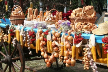 Фотография к новости: Караван с 300 тоннами продукции прибудет на астанинскую ярмарку из Туркестанской области