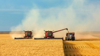 Фотография к новости: Урожай зерновых более 5 миллионов тонн ожидается собрать в Акмолинской области