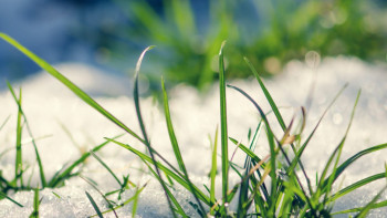 Фотография к новости: До плюс 15 обещают синоптики на 8 марта в Казахстане 