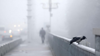 Фотография к новости: Гололёд и туман ожидаются в Казахстане 31 октября 