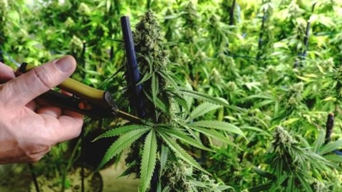  Из открытых источников 