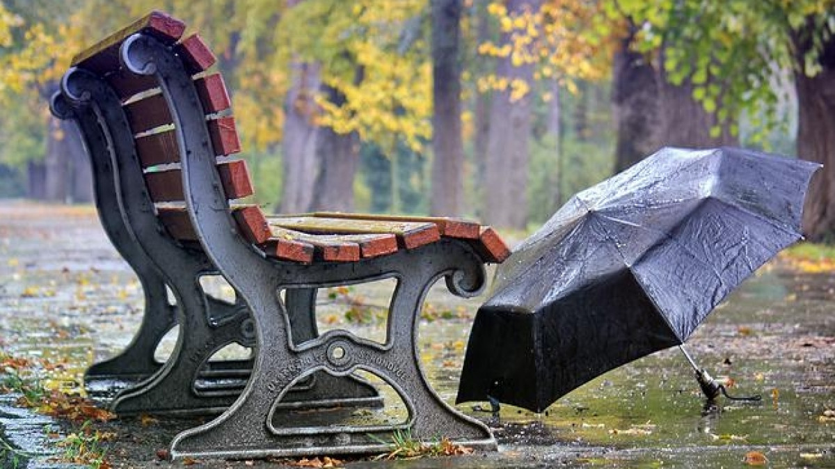  Из открытого источника 