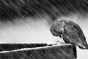 Фотография к новости: Осадки и ветер ждут казахстанцев в понедельник