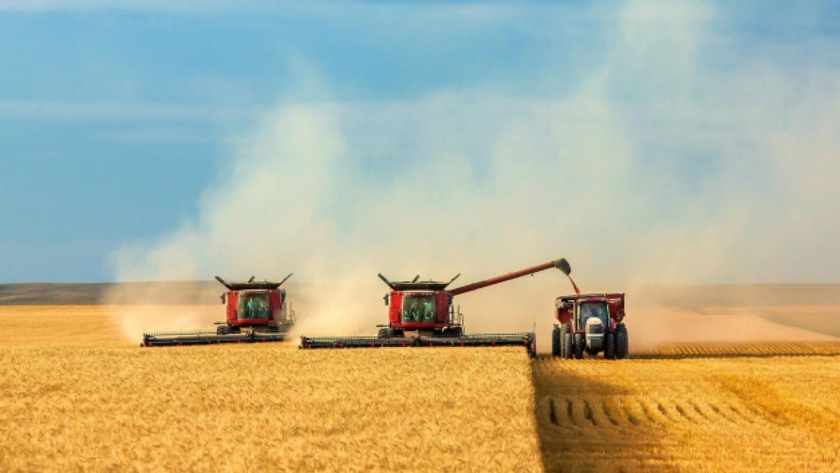  Из открытого источника 