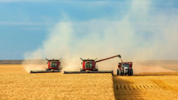 Фотография к новости: Подготовку к уборке урожая обсудили в акимате Акмолинской области