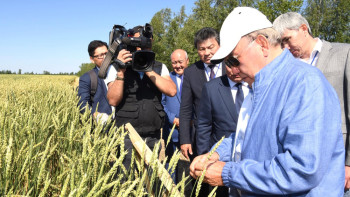 Фотография к новости: Назарбаев осмотрел поля зерновых в Акмолинской области