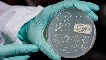 Фотография к новости: Смерть ребёнка в Шымкенте: заказанные в интернете суши оказались заражёнными