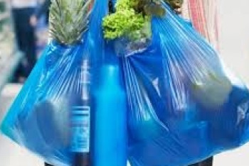 Фотография к новости: Планы по запрету использования полиэтиленовых пакетов прокомментировал Бозумбаев