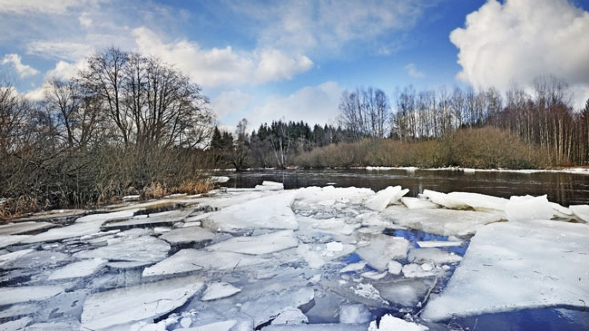  Око планеты