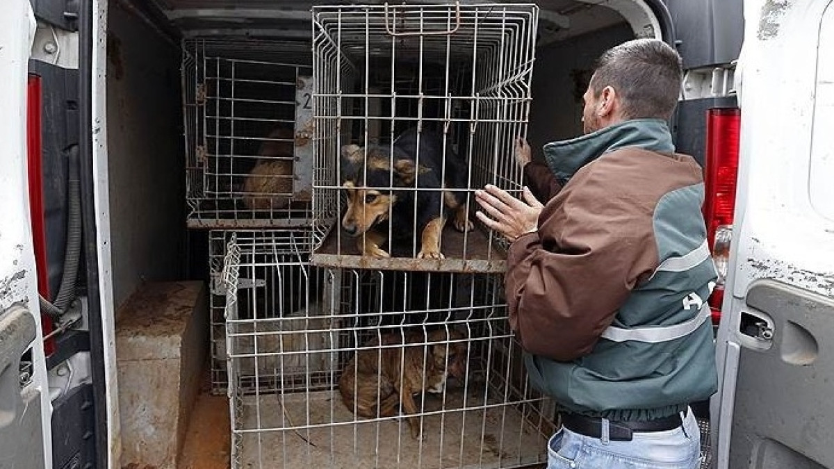  Из открытых источников