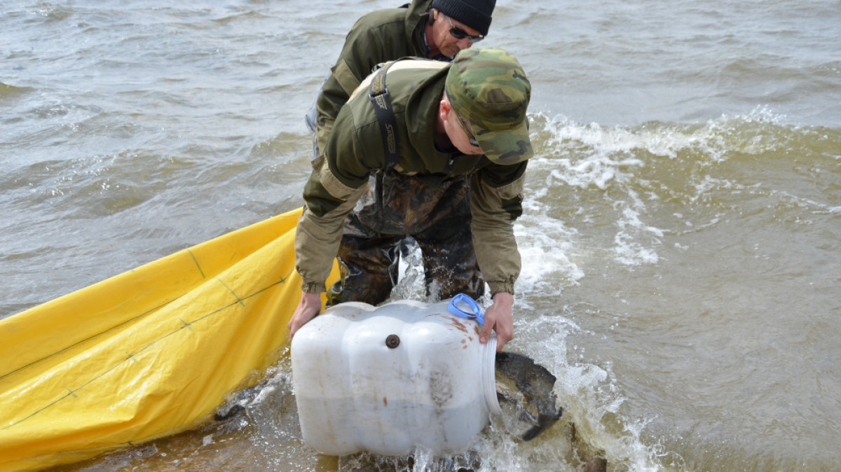  Асель Турар 