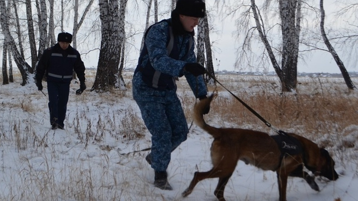  Светлана Пышкина 