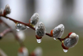 Фотография к новости: Осадки ожидаются на большей части Казахстана 16 апреля