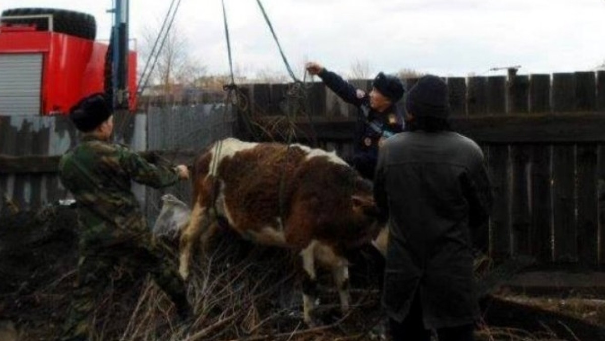  пресс-служба ДЧС ВКО