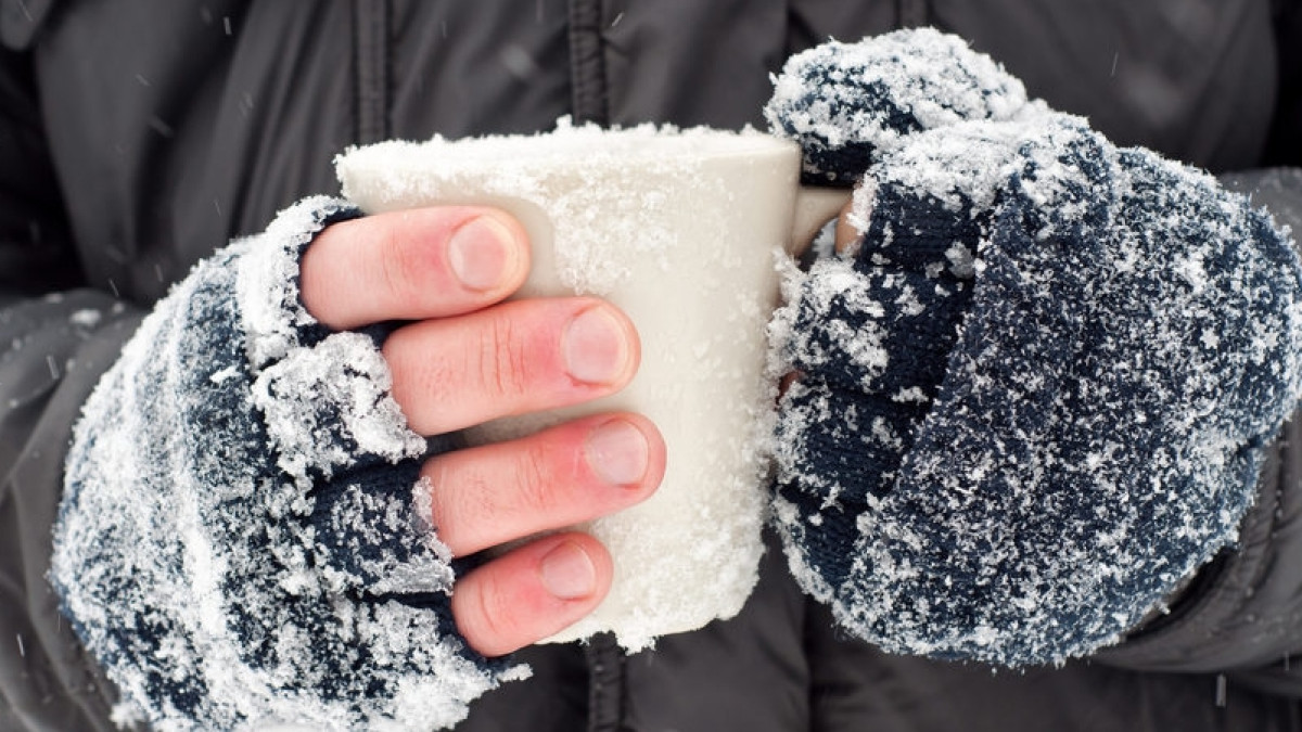  Из открытого источника 