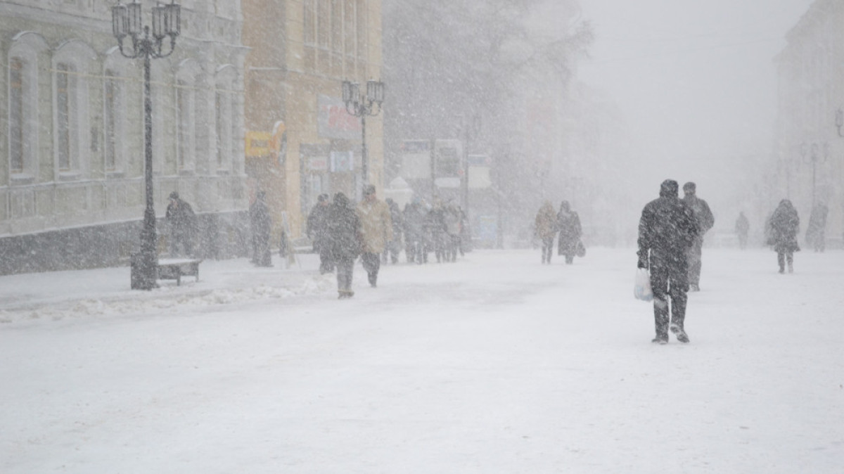  Из открытых источников