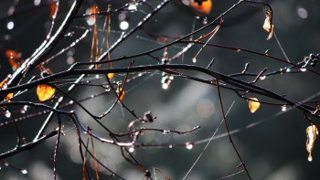 Фотография к новости: Дожди и похолодание ожидаются на севере и в центре Казахстана