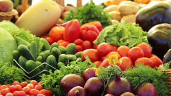 Фотография к новости: Расширить беспошлинный ввоз сельхозпродукции в США предложили в НПП "Атамекен"